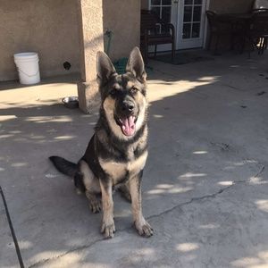 Meet your Posher, Isaiah